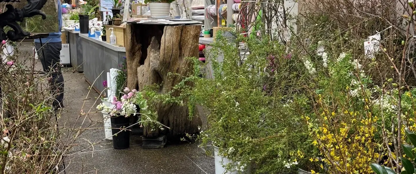 Ikebana Workshop in Kyoto tracing ikebana from Rokkaku-dō Temple origins to hands-on practice.
