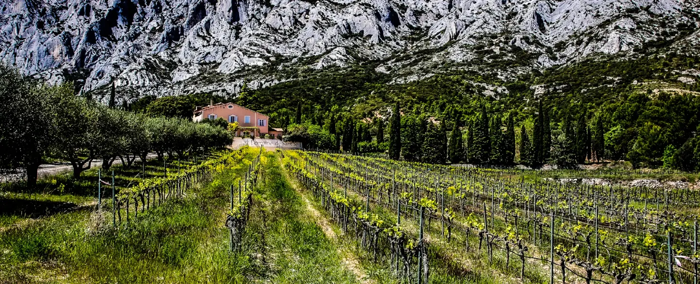 Day Trip in Provence visiting Aix-en-Provence, Cézanne sites, and Mont Sainte-Victoire vineyards.