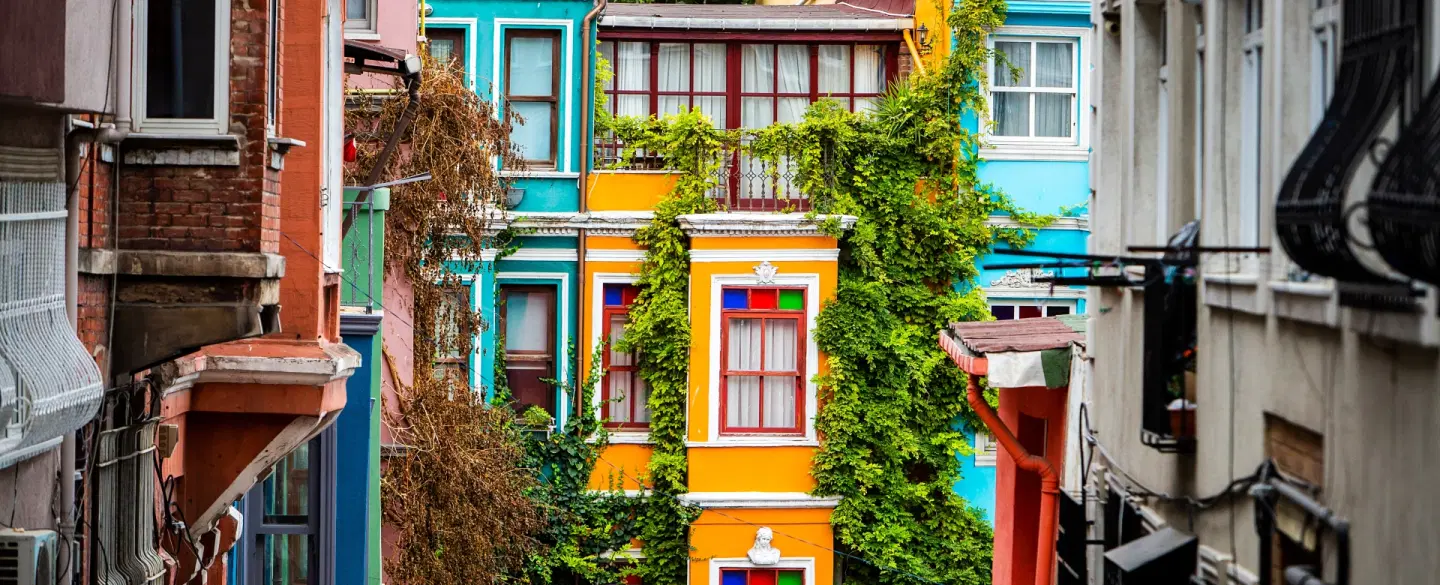 Walking Tour in Istanbul: Chora Museum, City Walls, Tekfur Palace, Byzantine relics, old quarters.