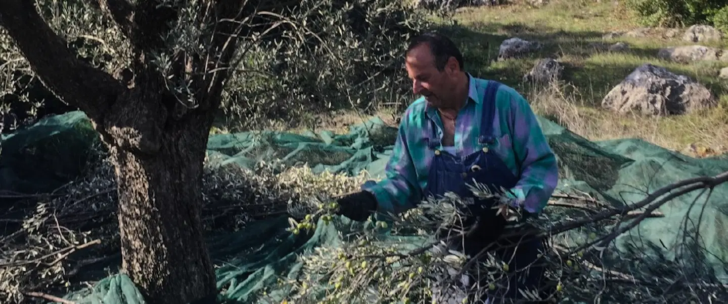 Farm Experience in the Peloponnese with soap-making, local food and rural traditions near Nafplio.
