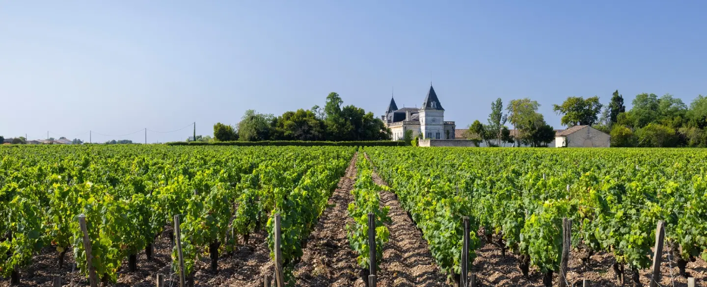 Wine Tasting from Bordeaux exploring the Médoc’s renowned estates along the historic Chateaux Road.