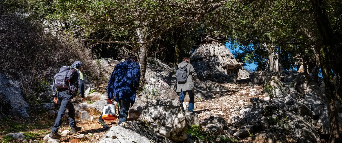 Hiking Tour in Sardinia through Supramonte, Ogliastra’s Blue Zone, landscapes, and shepherds’ lunch.