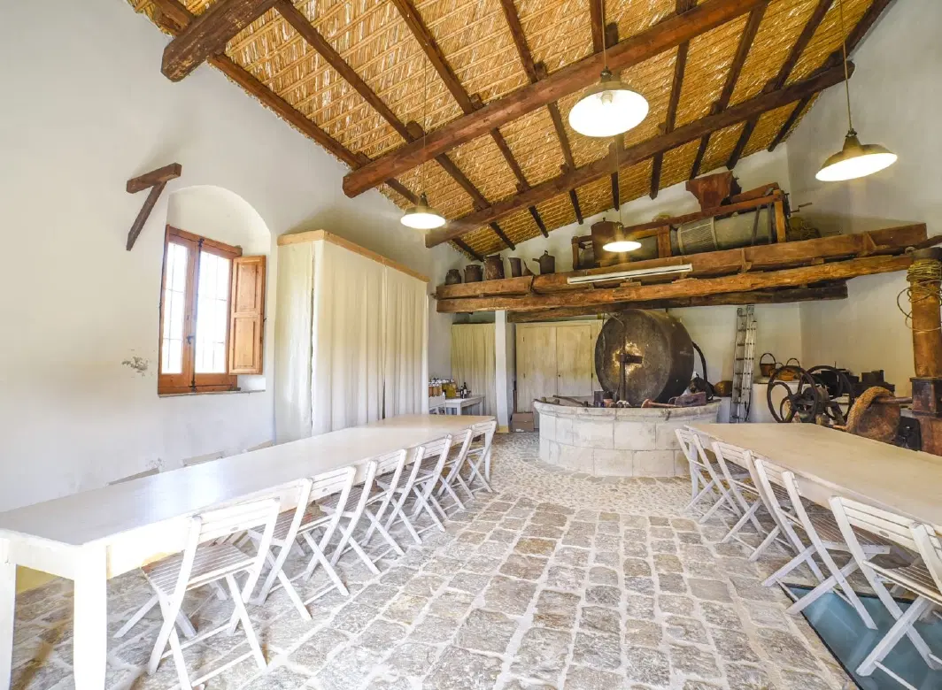 Hiking Tour in Sicily, discovering ancient ruins of Noto and savoring lunch at an almond farm.
