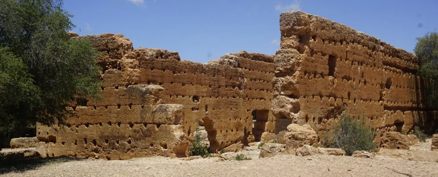 Day Trip from Essaouira: Walk argan groves, explore sugar mill ruins and make oil with Berber women.