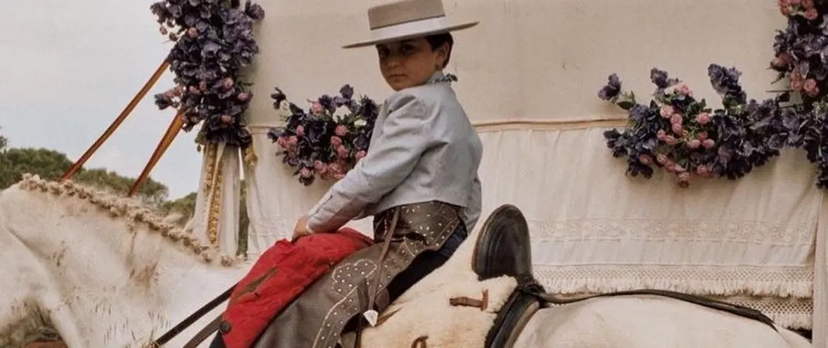 Cultural Tour of El Rocío from Seville with carriage ride, Doñana visit, Andalusian lunch, flamenco.