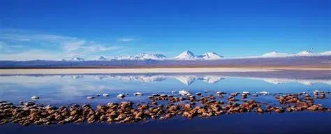 4-day Photo Safari of lagoons, canyons, geyser, wildlife in Atacama Desert from San Pedro de Atacama