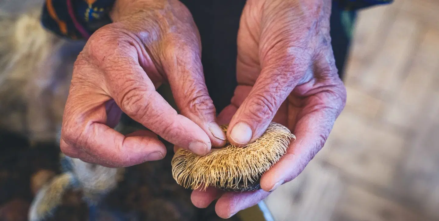 Algarve's Ancestral Artisans