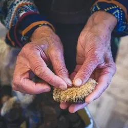 Algarve's Ancestral Artisans
