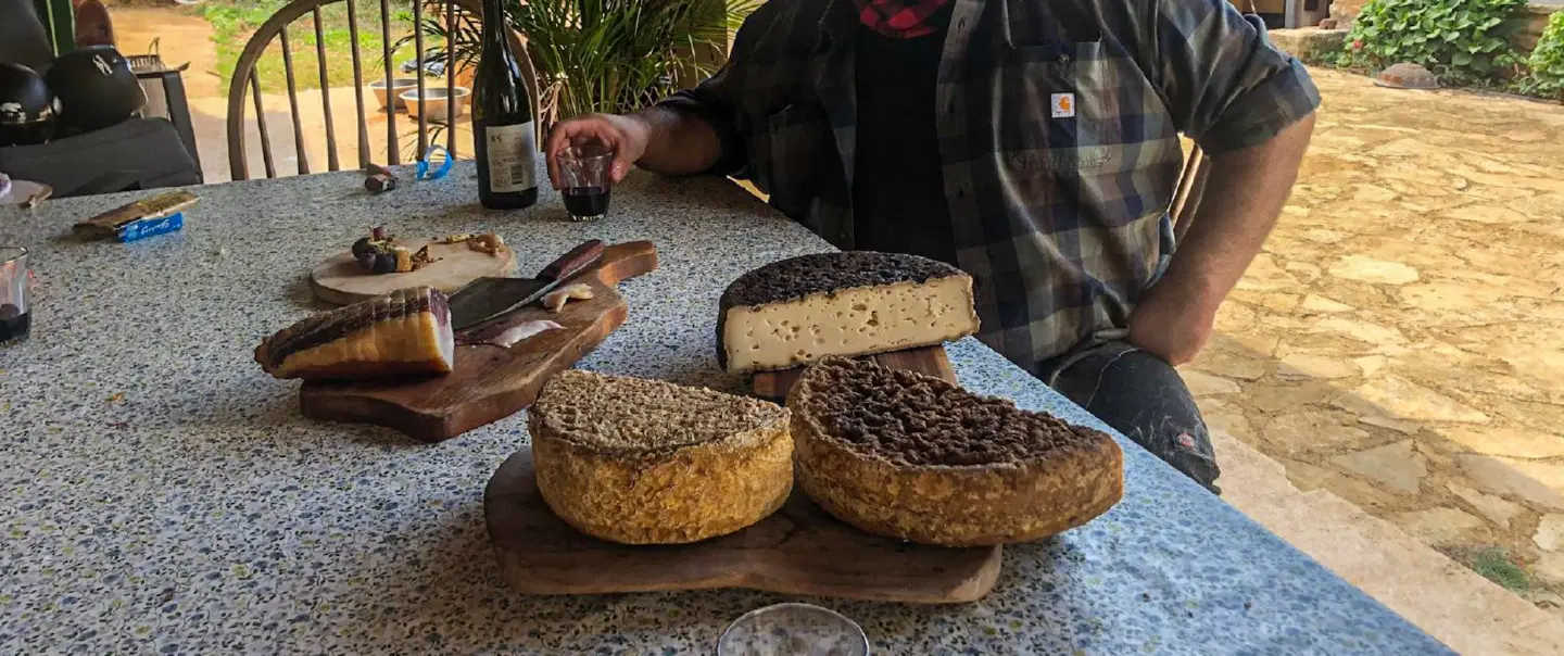 Day Trip in Istria exploring truffle hunting, Motovun forest, goat cheese, and farm tastings.