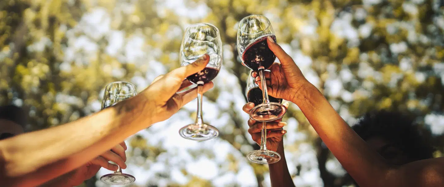 Wine Tasting in a château near Bordeaux with horse riding, cellar visit, and picnic among the vines.