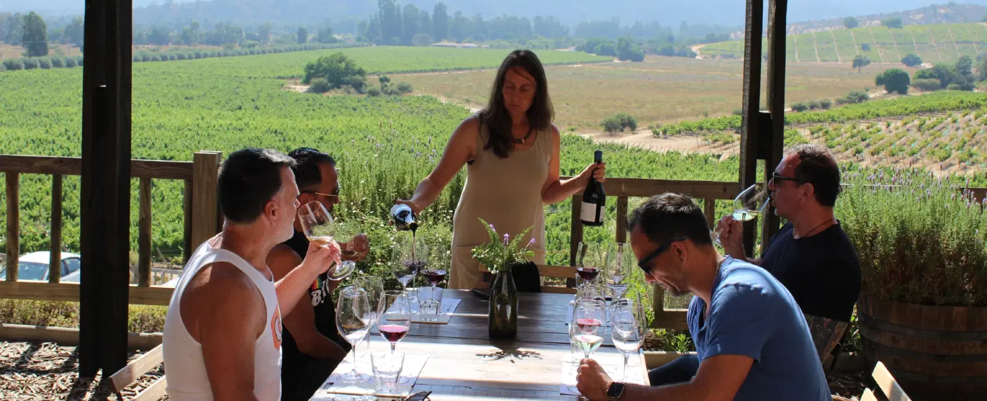 Wine Tour from Valparaíso to Casablanca Valley: a Day Trip with sommelier, tastings & pairing lunch.