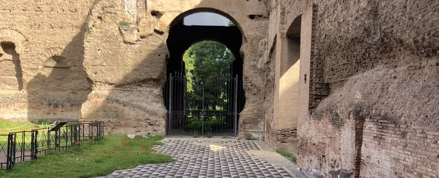 Archaeological Tour in Rome exploring rituals, politics and architecture at the Baths of Caracalla.