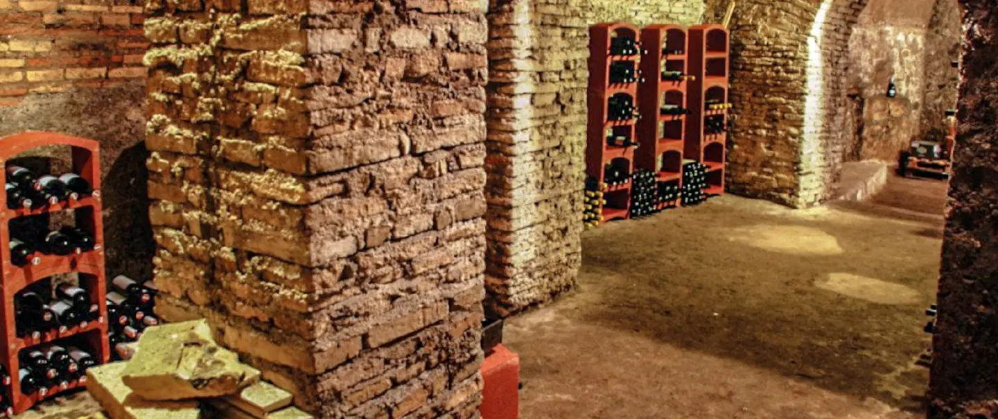 Wine Tasting in Rome, in a private wine club with an expert Italian sommelier guiding the session.