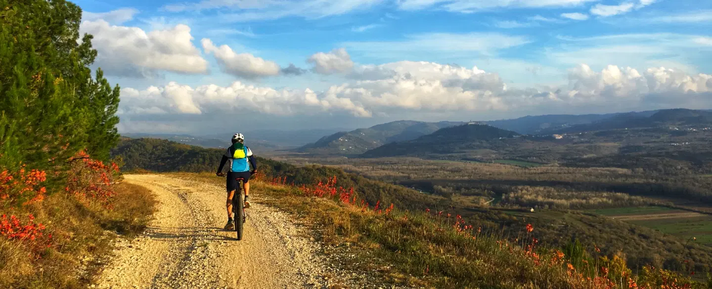 E-Bike Ride from Motovun, Istria, along the Parenzana trail with village stops and wine tasting.