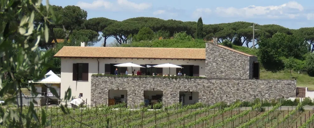 Appian Way and Catacombs Tour in Rome combining early-Christian history, catacombs and wine tasting.