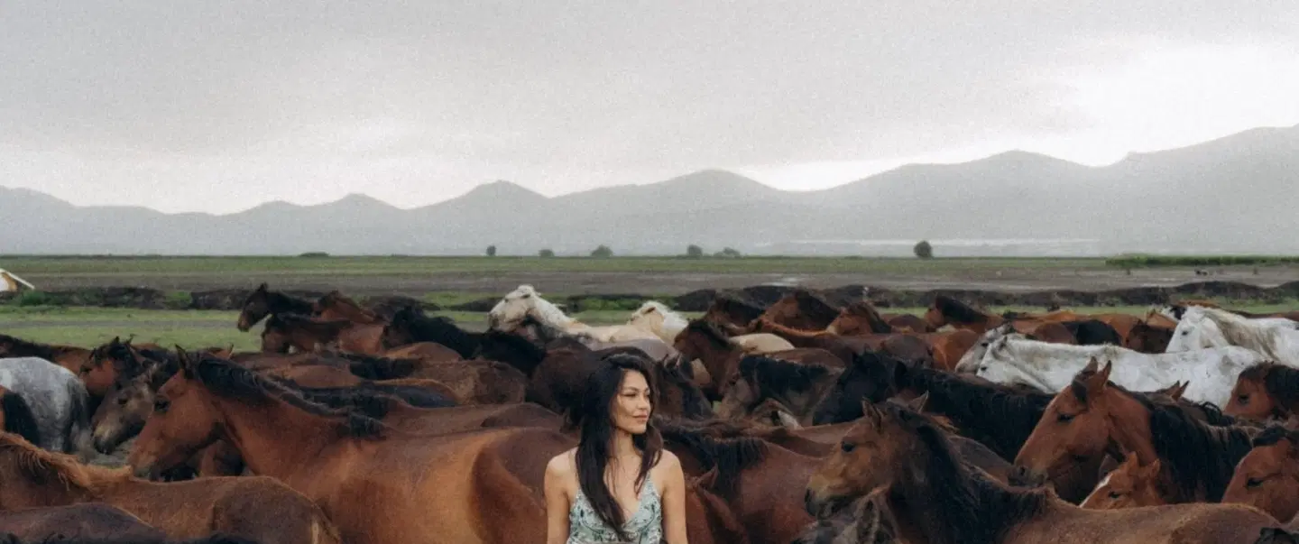 Sunset With Wild Yilki Horses