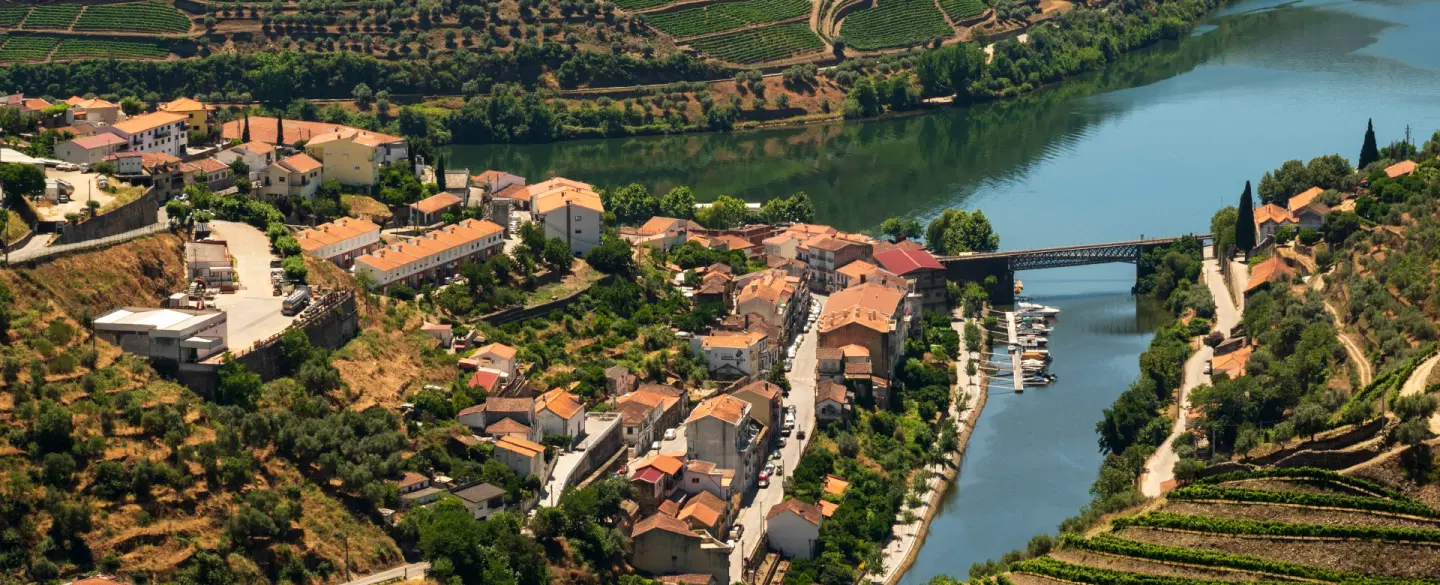 Douro Valley Tour from Porto, including Mateus Palace, honey tasting, vineyard lunch and boat ride.