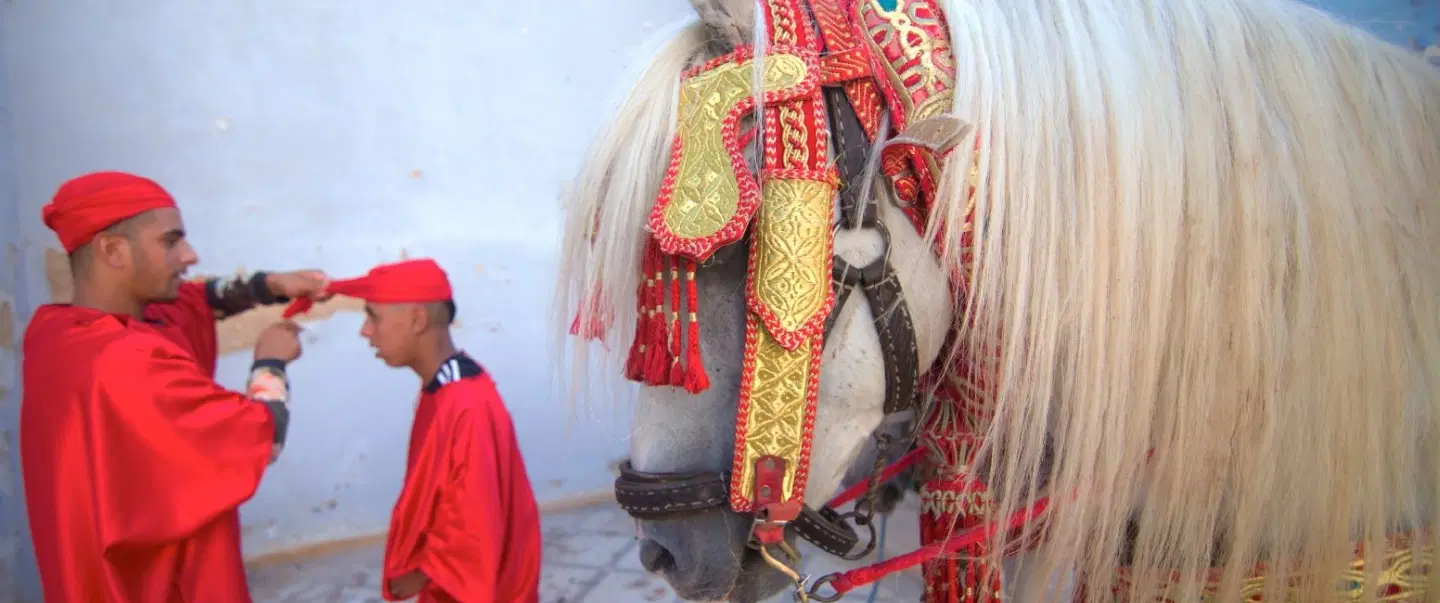 Tradition + Modernity in Fes