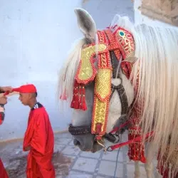 Tradition + Modernity in Fes