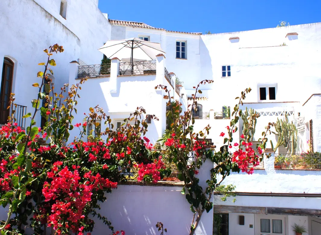 Cultural Tour of Vejer near Cádiz with Arab heritage walk, winery visit, hammam, Andalusian lunch.