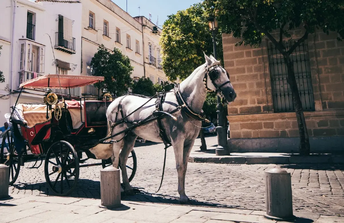Sherry Tasting Tour of Jerez near Cádiz: horse carriage, bodega visits and Michelin-starred lunch.