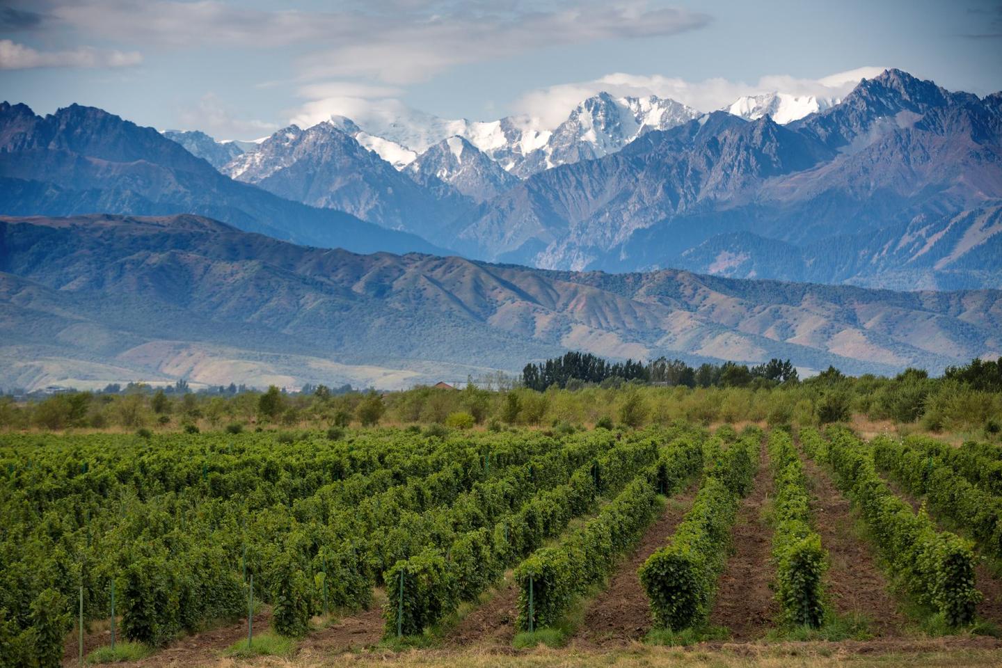 7 days in Argentina: Buenos Aires to Mendoza with tango nights, wine, mate and asado in the Andes.