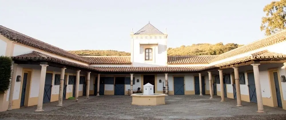 Day Trip from Seville to a historic bull ranch with Toro Bravo heritage, cultural insights, stories.