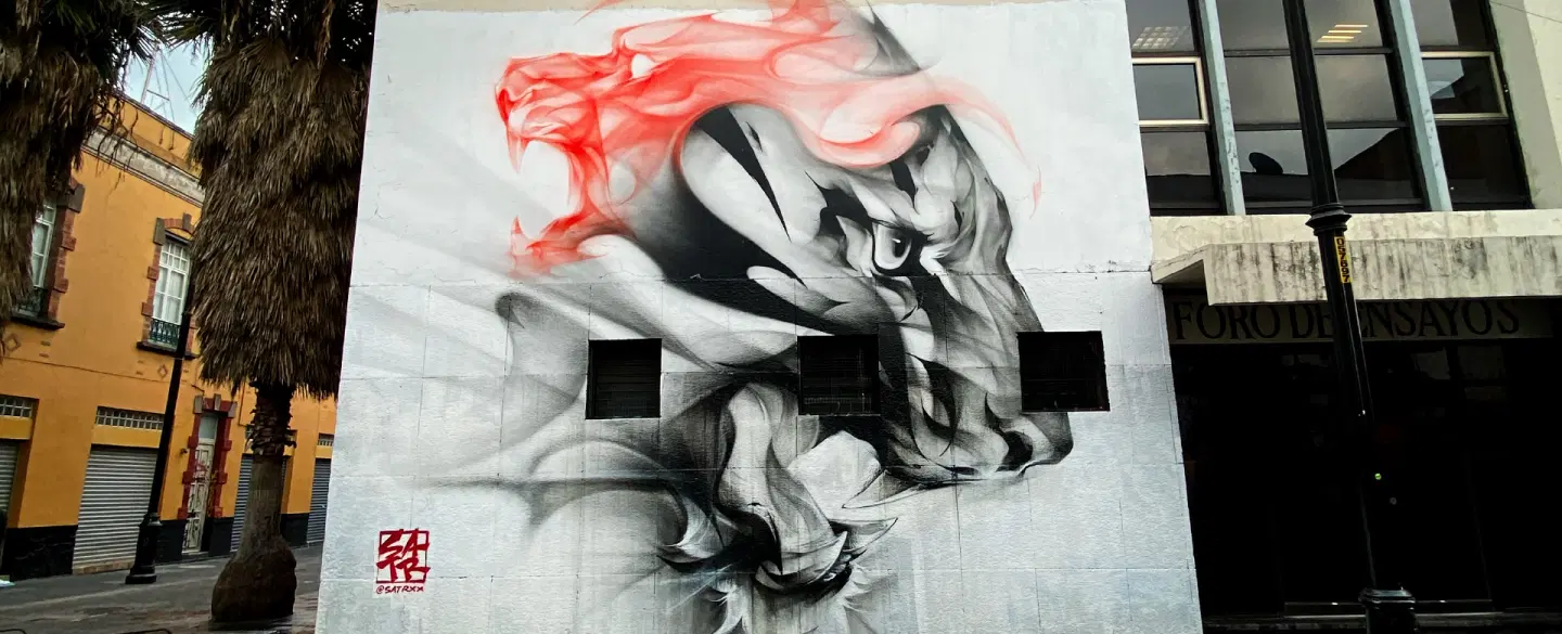 Mexico City private tour of contemporary mural and street art scene - and paint your own masterpiece