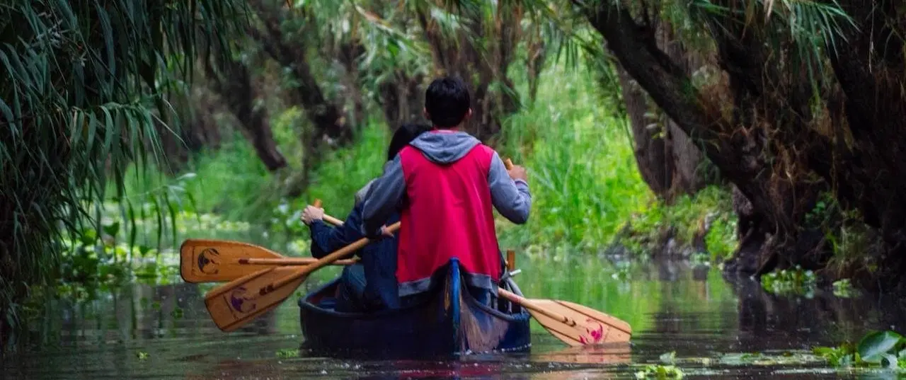 Sunrise Canoe Tour in Xochimilco, Mexico City: ancestral canals, birdsong & local ecological insight