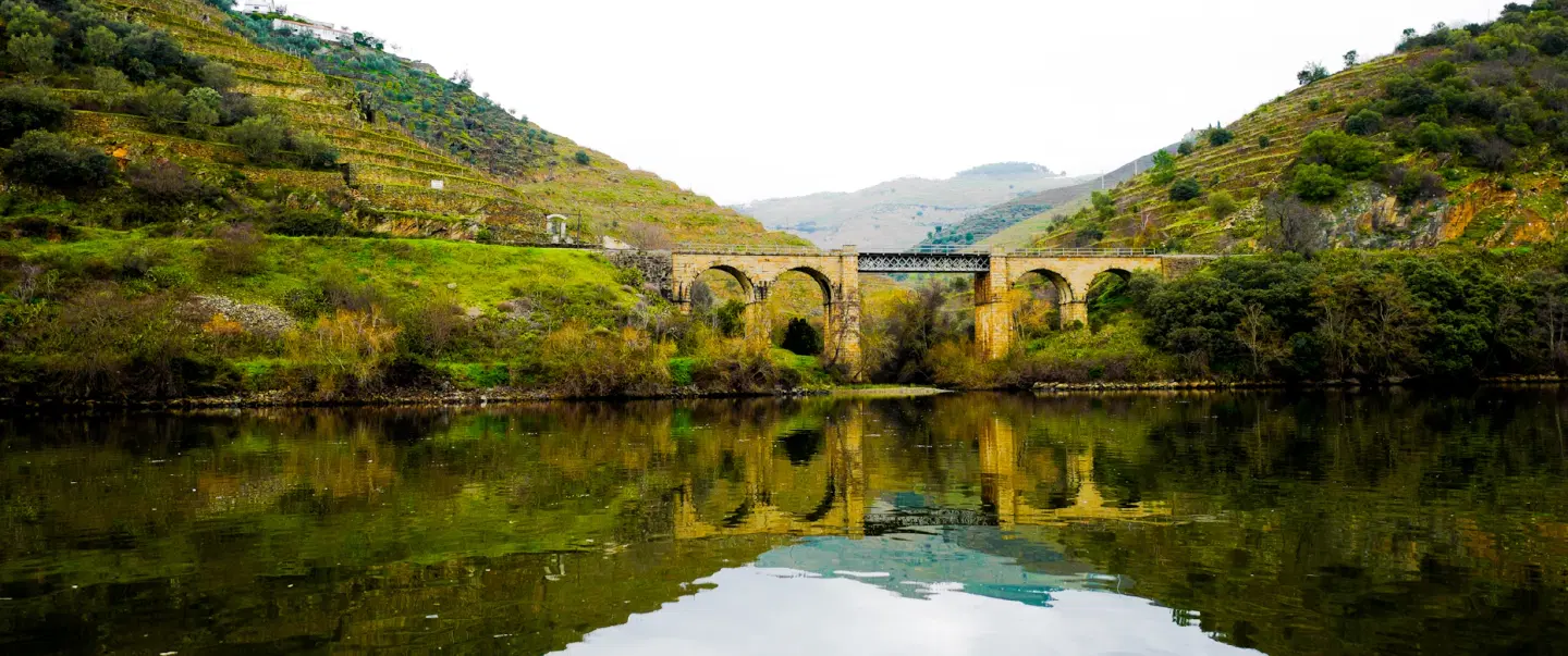 Built and Grown in the Douro