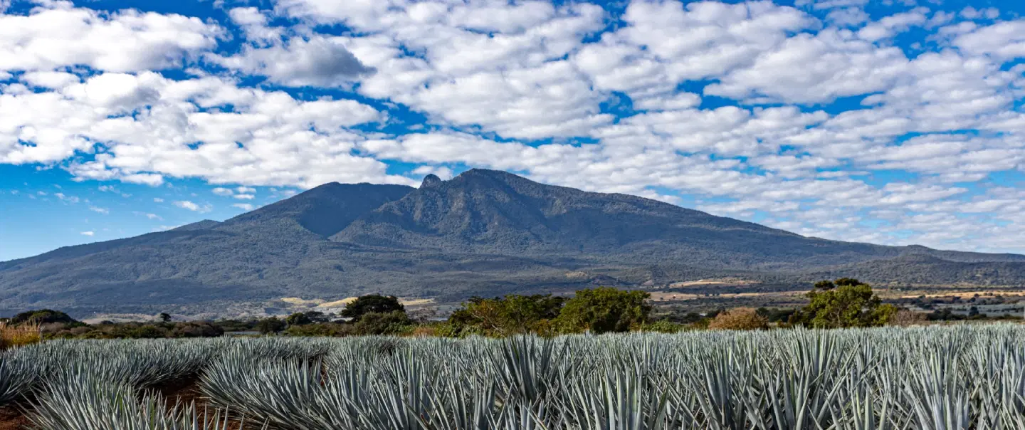 Day Trip from Guadalajara exploring Guachimontones archaeology, Tequila Volcano and obsidian craft.