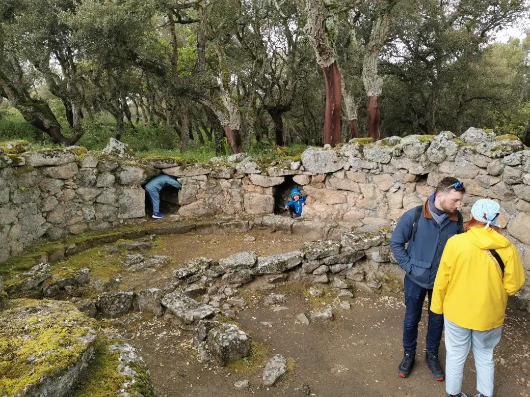 History Tour in Sardinia discovering Nuragic sites, food, and UNESCO-listed tenor singing in Bitti.
