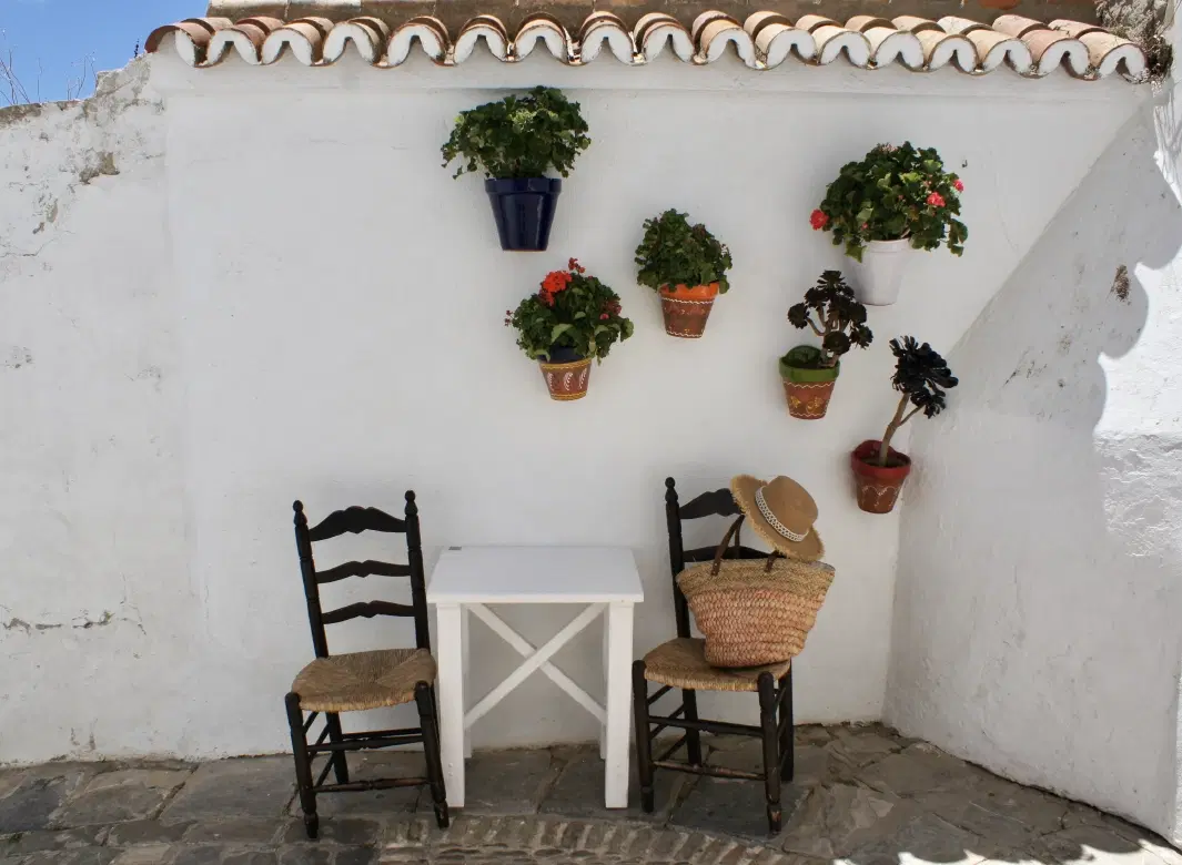 Cultural Tour of Vejer near Cádiz with Arab heritage walk, winery visit, hammam, Andalusian lunch.