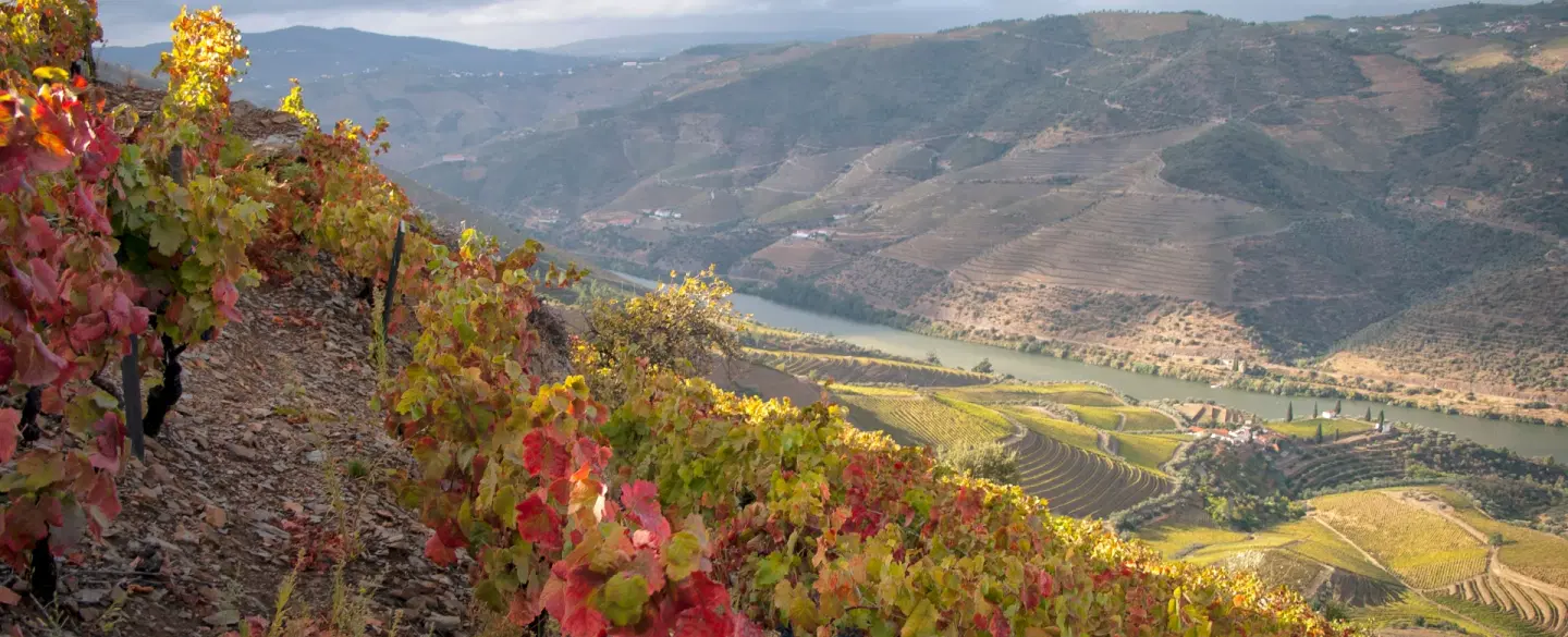 To The Botanical Quinta & Back