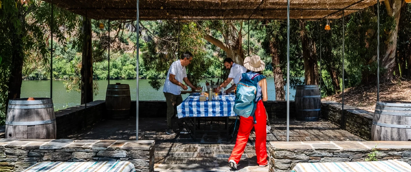 Day Trip in Douro Valley: river boat cruise, wine & gin tastings, picnic lunch in an estate.