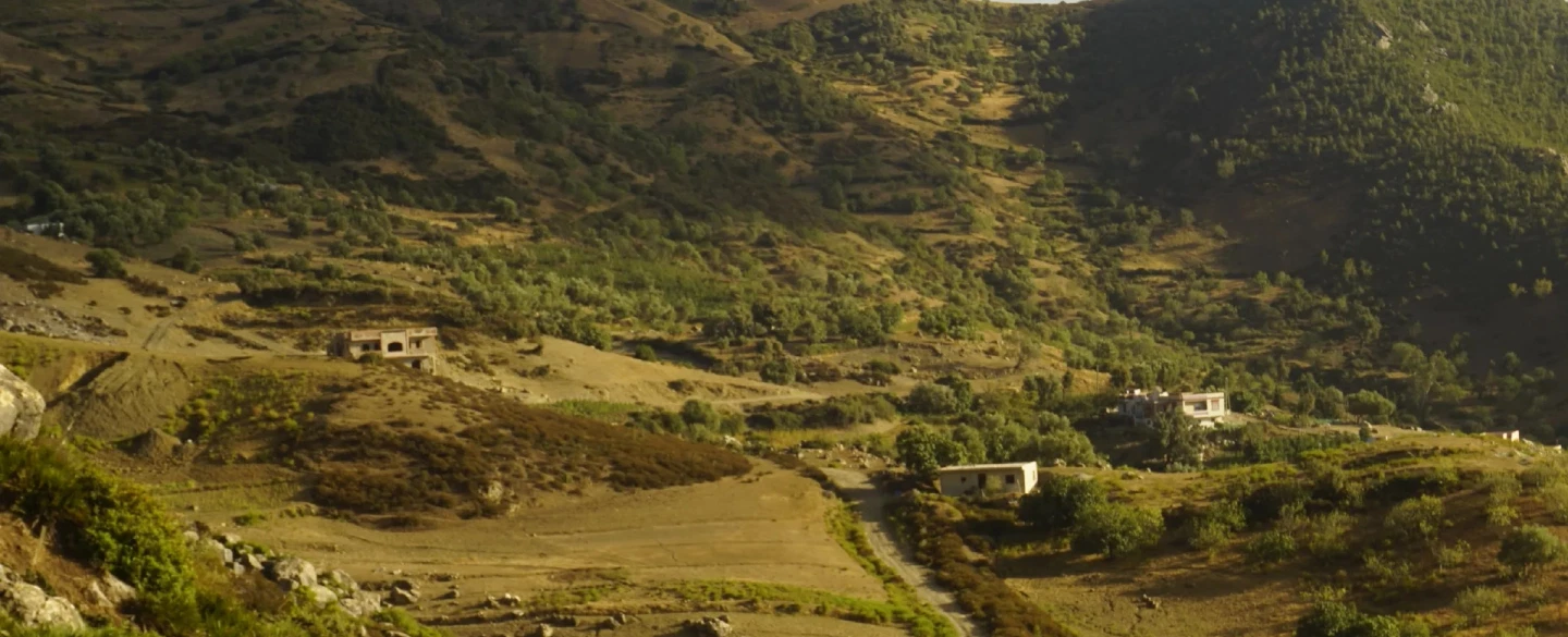 Hiking Tour in the Chefchaouen hills, farm visit and meal with a local family, 2 hours from Tangier.