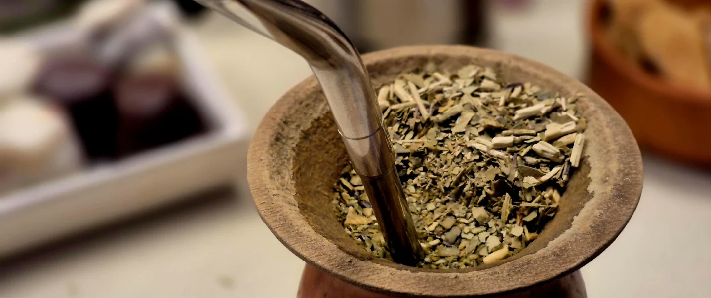 Mate Tasting Experience in Buenos Aires exploring Argentina’s most beloved ritual with a local host.
