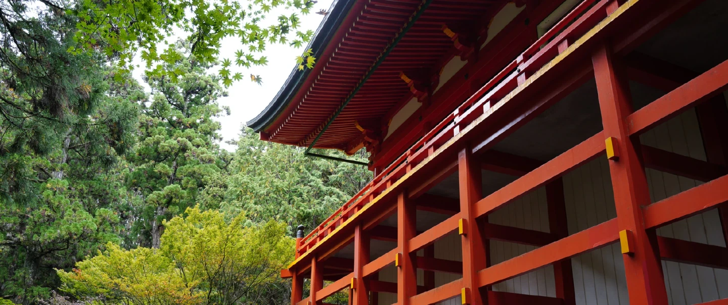Guided walk on Kyoto's Mt. Hiei — Enryaku-ji, cradle of Japanese Buddhism, English-speaking guide.