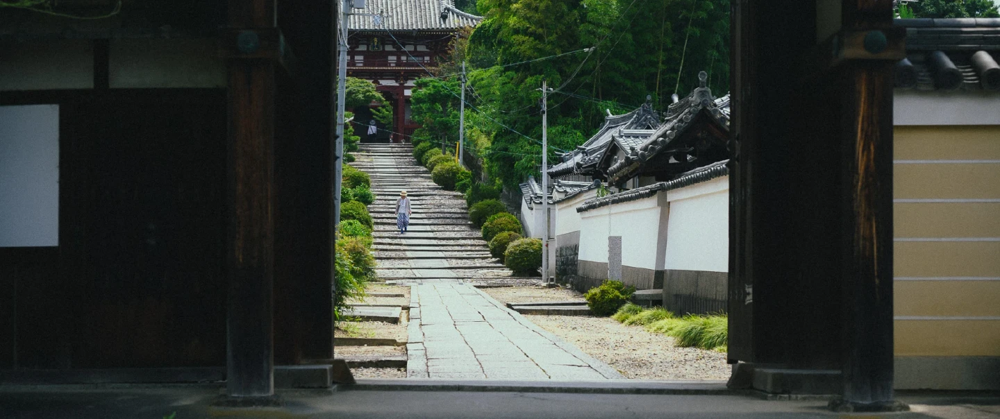 Kyoto Walking Tour: early morning Fushimi Inari, 3 Buddhist temples — one UNESCO, two rarely visited