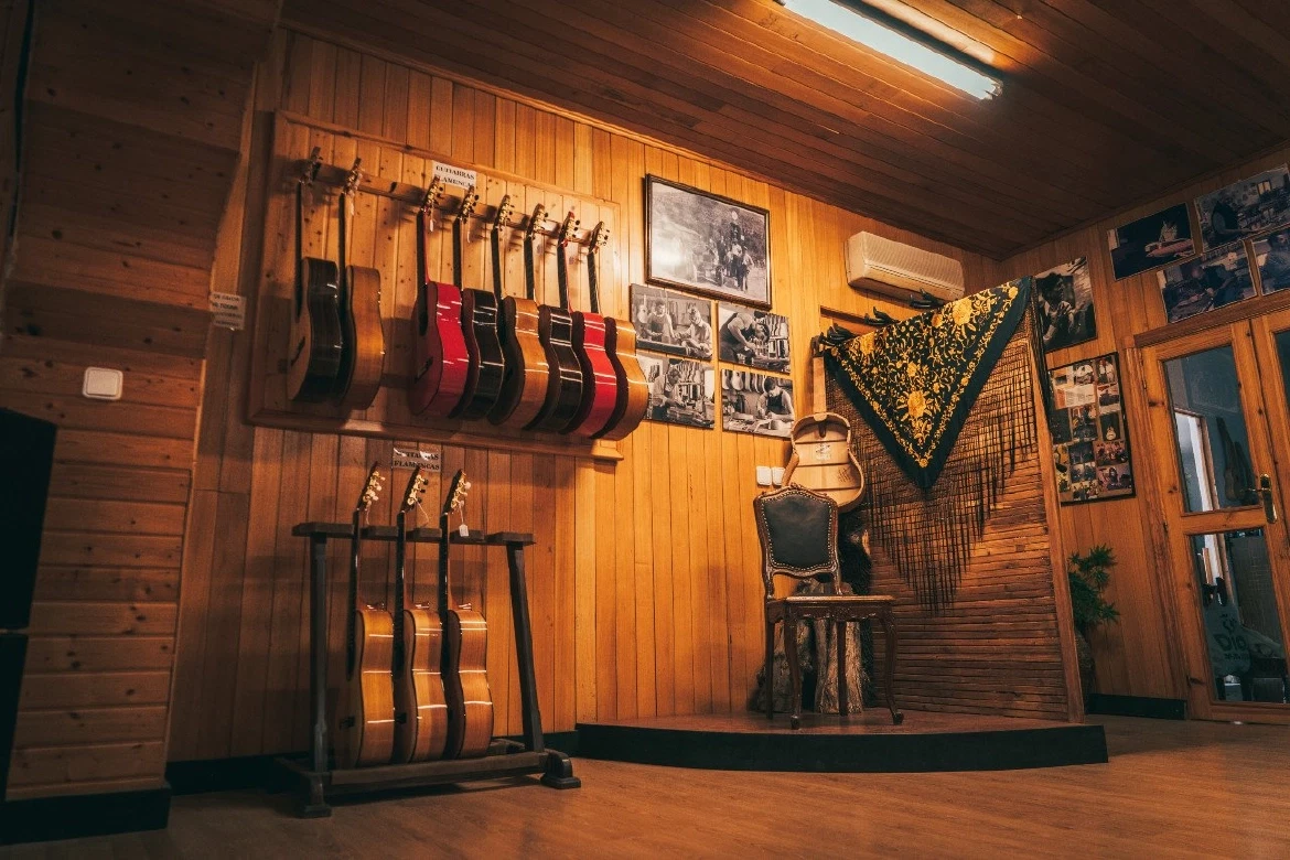 Flamenco Tour in Jerez near Cádiz & Seville: luthier visit, Lola Flores Museum, tablao performance.