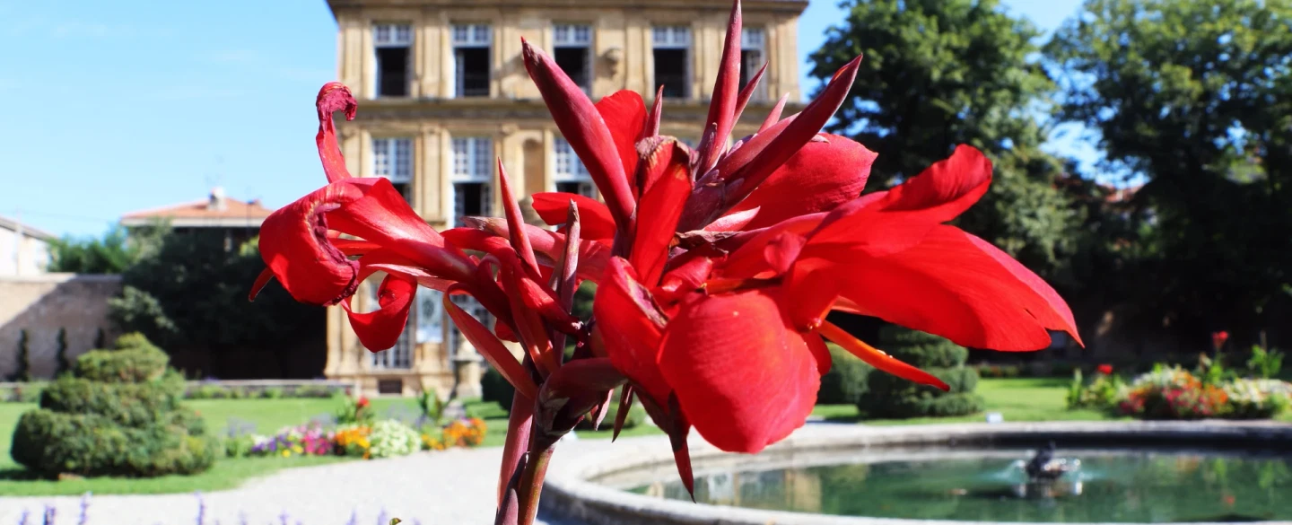 Day Trip in Provence visiting Aix-en-Provence market, wine estates, tastings, and contemporary art.