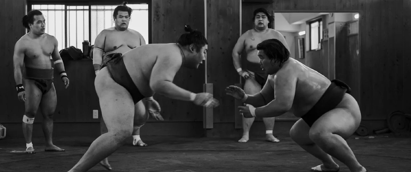 Tokyo Sumo Experience with stable practice viewing, wrestler conversation and Ryogoku district tour.