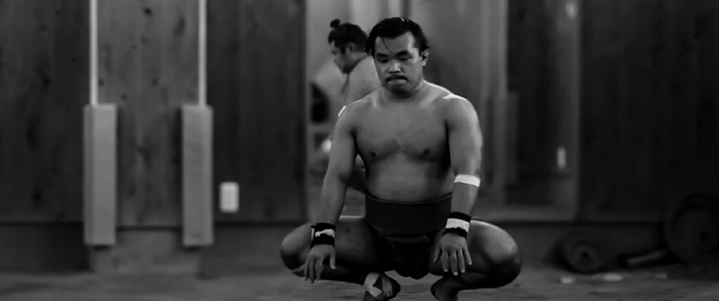 Tokyo Sumo Experience with stable practice viewing, wrestler conversation and Ryogoku district tour.