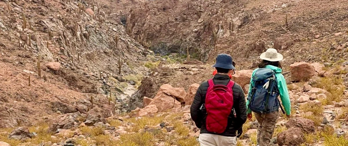 Cactus Canyon Hike near San Pedro de Atacama: volcanic terrain, river crossings, and expert guide.