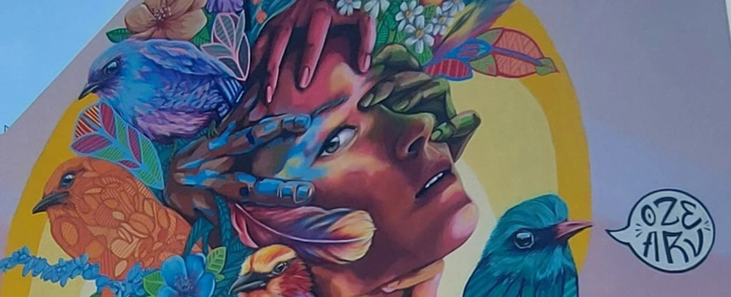 Street Art Tour in Lisbon, exploring the Graça and Mouraria districts, their murals and viewpoints.