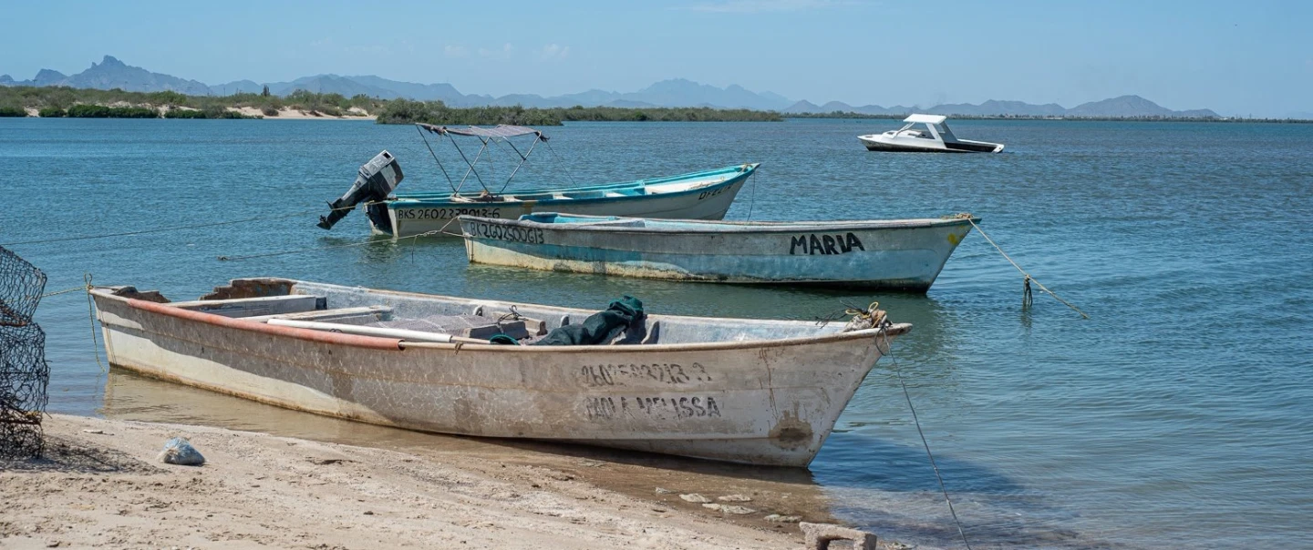 Day Trip in Sonora to the beautiful Kino Bay, and an immersion into the culture of Seri people.