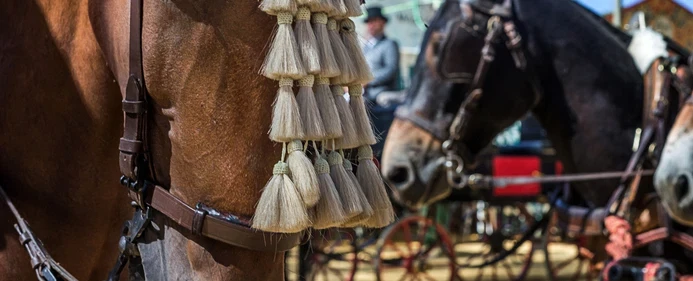 Feria Experience near Seville at Utrera Feria with Gitano traditions and flamenco heritage.