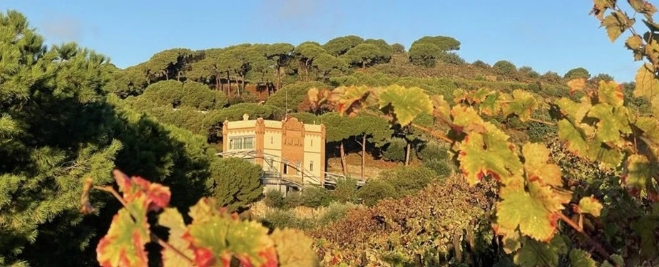 Wine Tour from Barcelona with boat arrival, sea-influenced wines, scenery, sunset dinner or brunch.