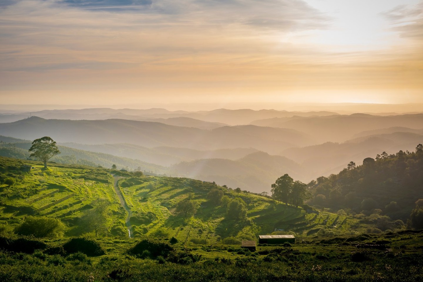 A road trip itinerary from the Basque Country to Bordeaux, tracing art, culture, and the Atlantic.