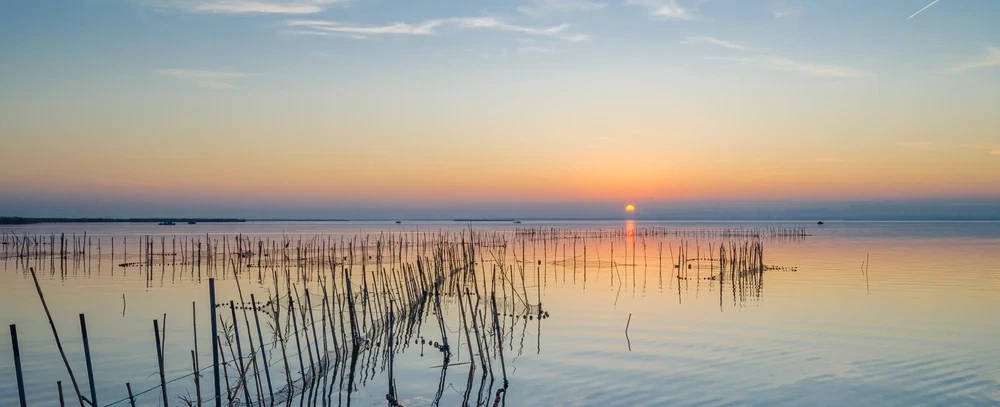 Day Trip from Valencia to Albufera Natural Park, Paella’s Birthplace, and private Lagoon Boat Tour.